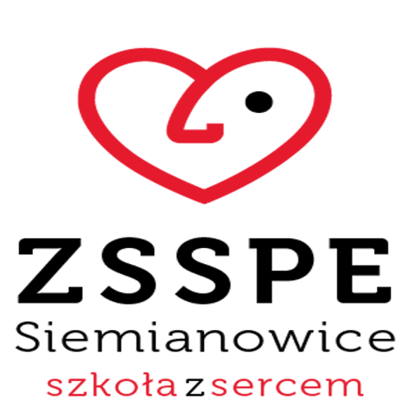 Logo ZSSPE